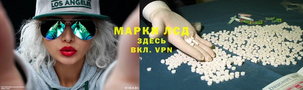 стаф Абинск