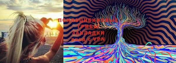 кокаин премиум Абаза