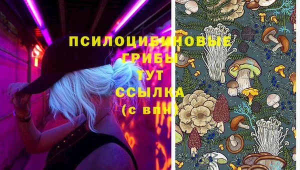 кокаин премиум Абаза