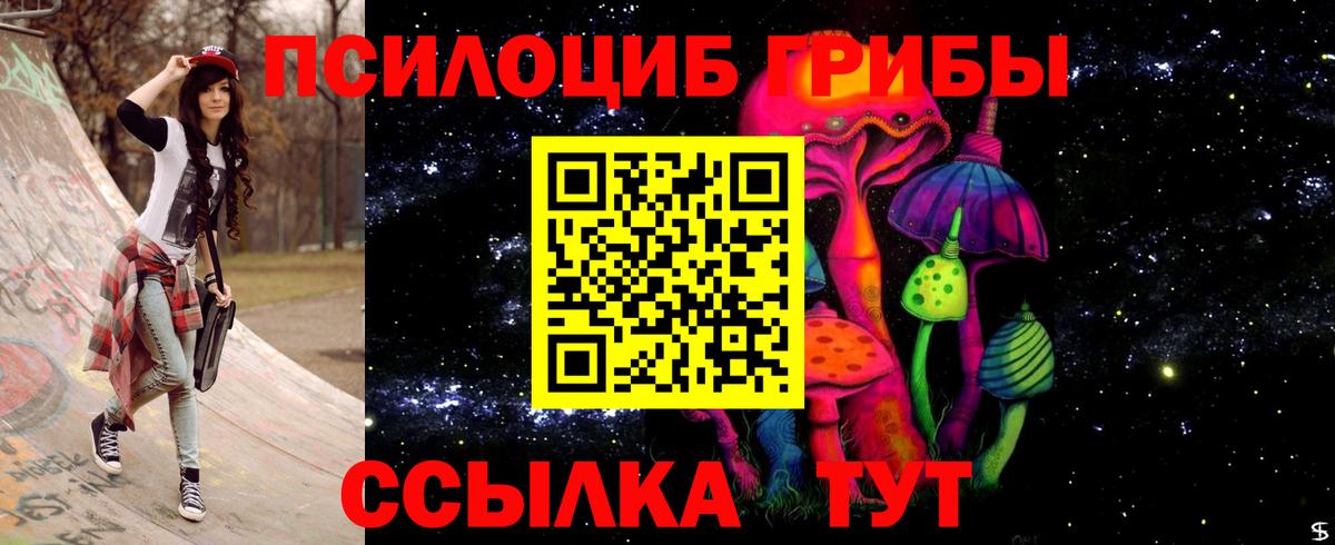 Галлюциногенные грибы Psilocybine cubensis  Вход с VPN  Сокол 