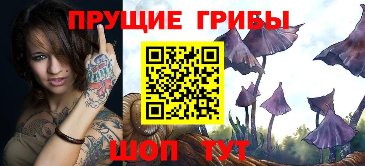 Галлюциногенные грибы Magic Shrooms Сокол